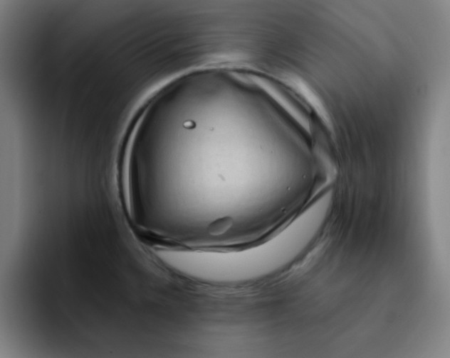 X0000091911336200709261709