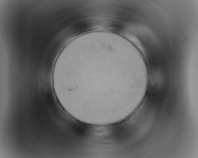 X0000091911338200709261709