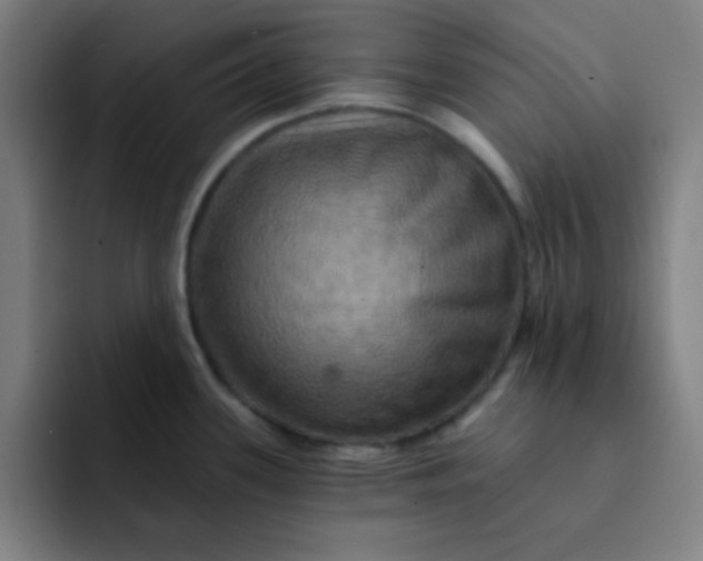 X0000091911339200709261709