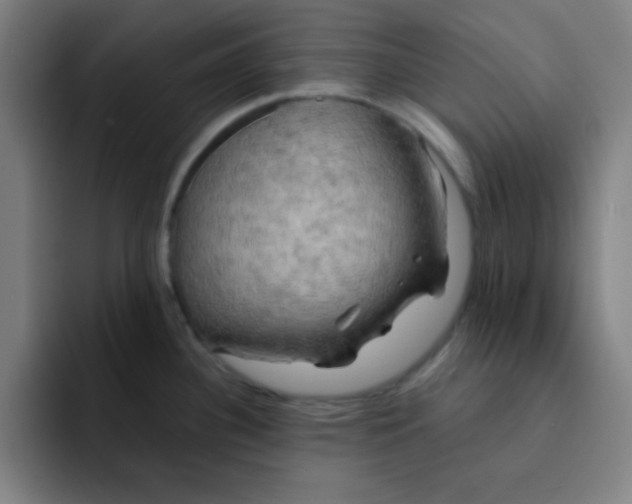 X0000091911340200709261709