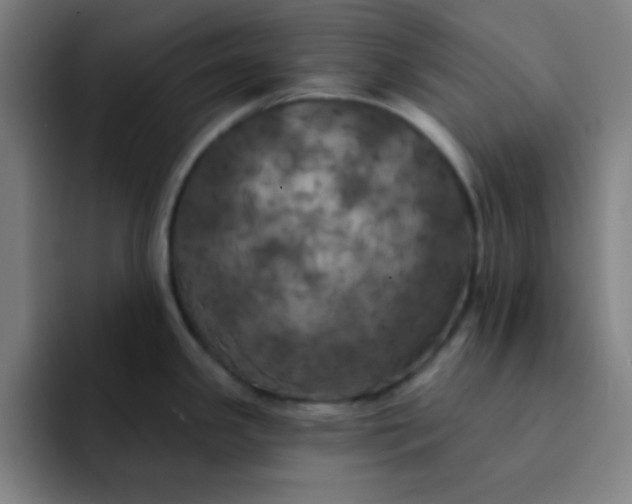 X0000091911341200709261709