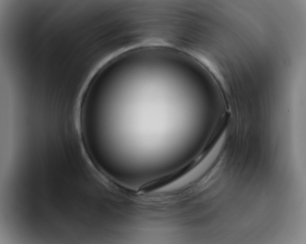 X0000091911342200709261709