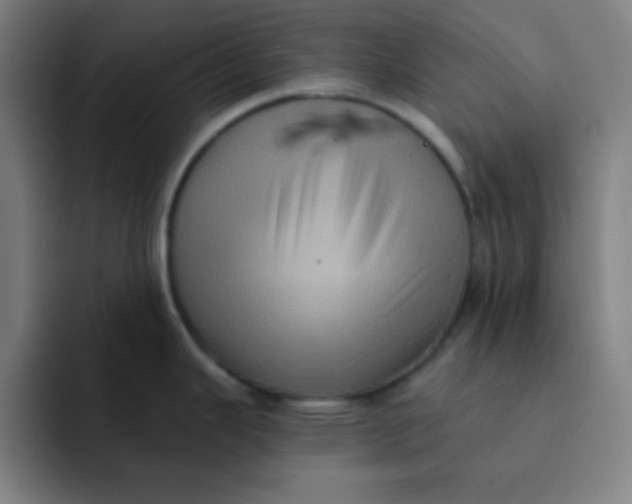 X0000091911343200709261709