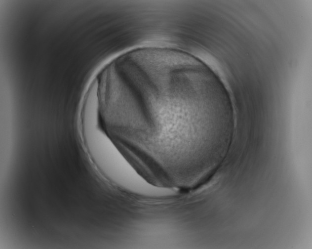 X0000091911344200709261709