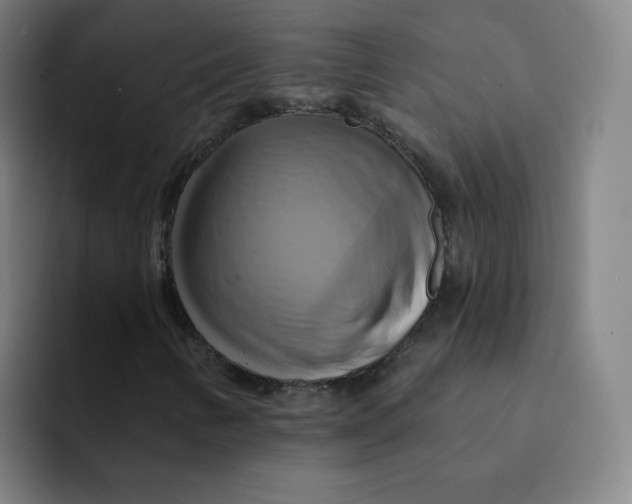 X0000091911346200709261708