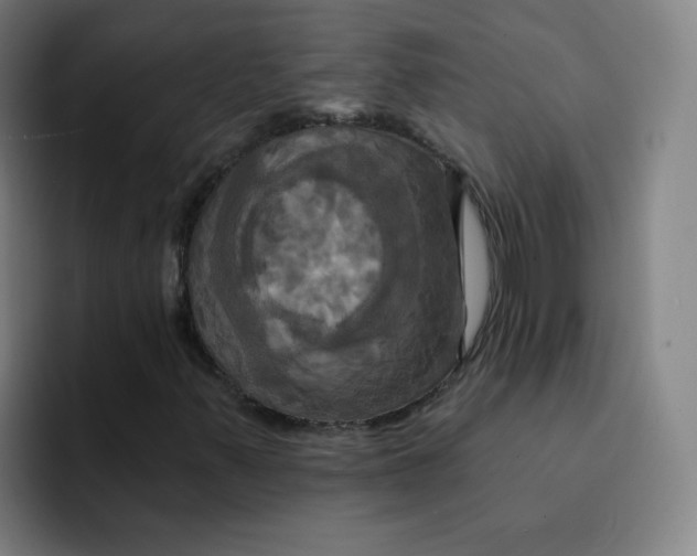 X0000091911347200709261708