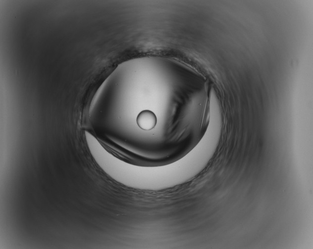 X0000091911348200709261708