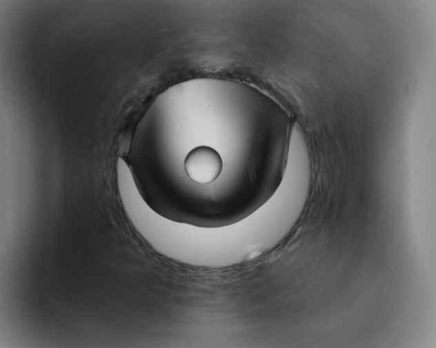 X0000091911349200709261708