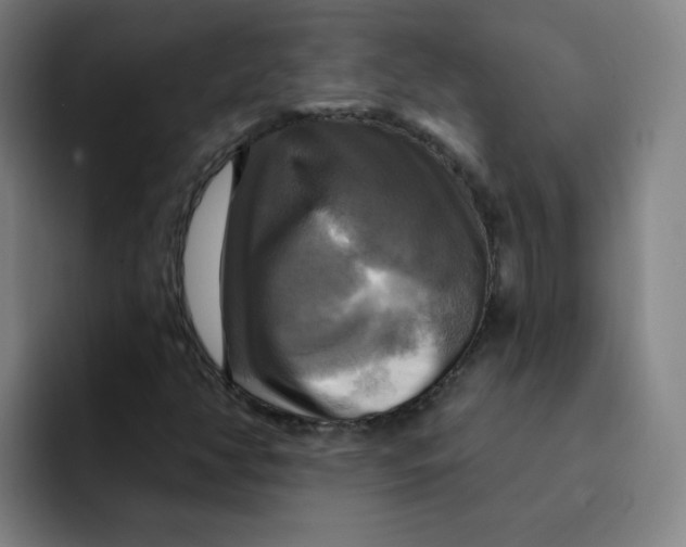 X0000091911350200709261708