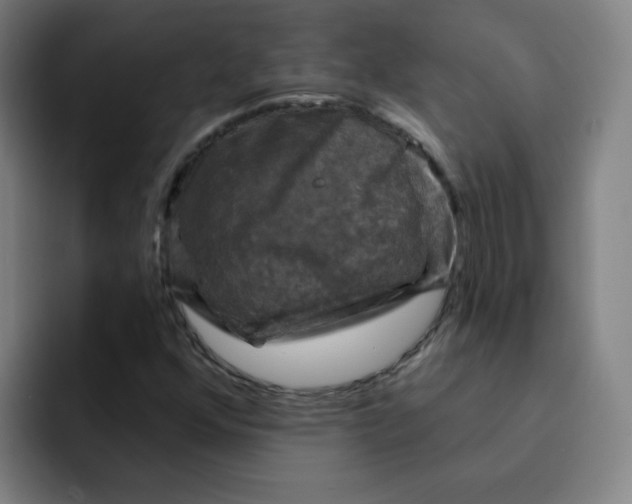 X0000091911352200709261708