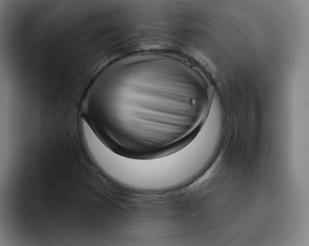 X0000091911353200709261708