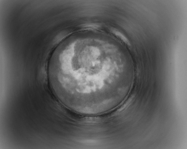 X0000091911354200709261708