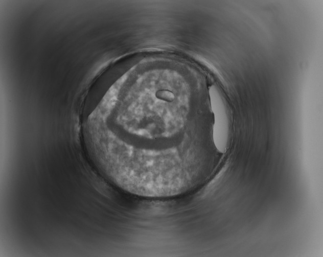 X0000091911355200709261708