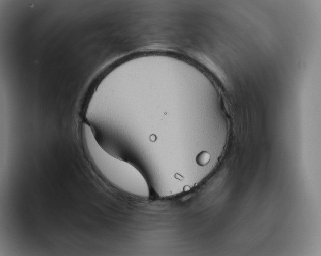 X0000091911356200709261708