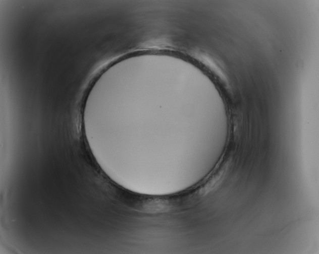 X0000091911358200709261708