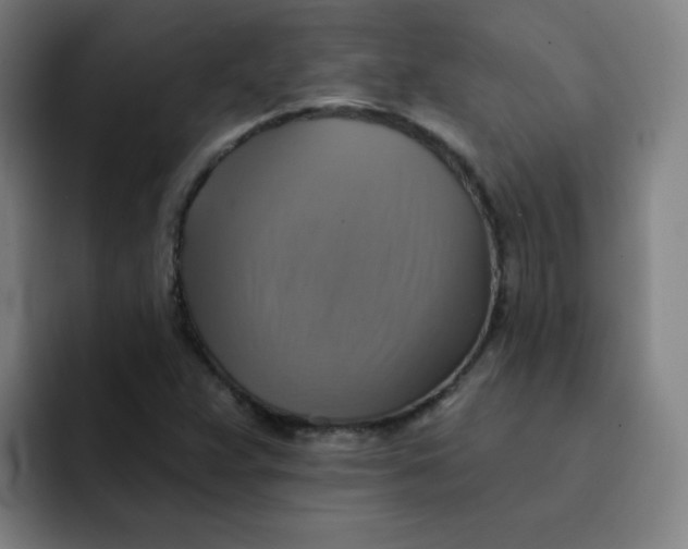 X0000091911359200709261708