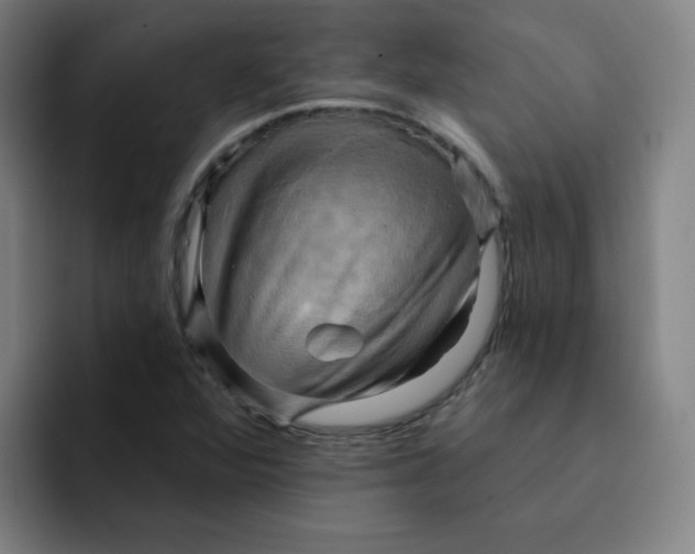 X0000091911360200709261708