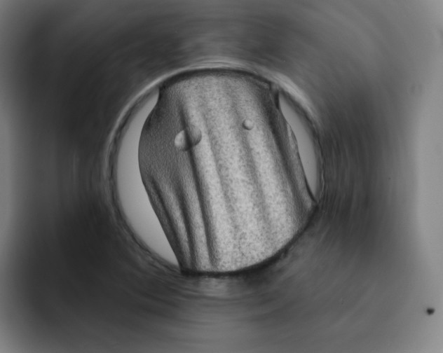 X0000091911364200709261708