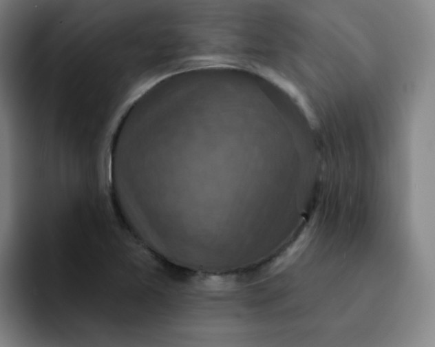 X0000091911365200709261708