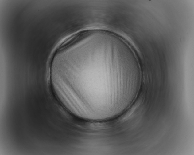 X0000091911366200709261708