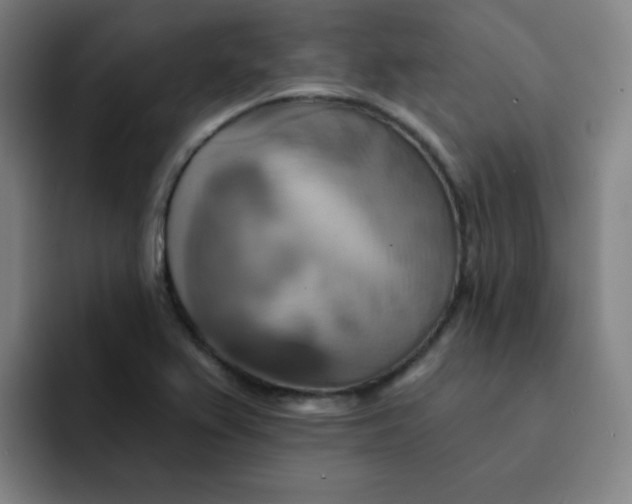 X0000091911367200709261708