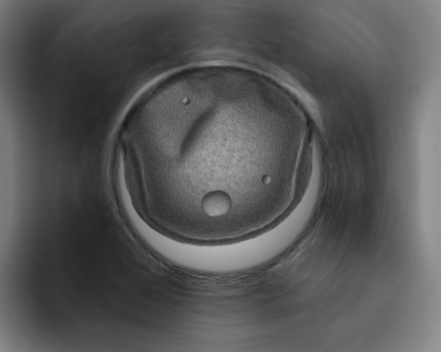 X0000091911368200709261708