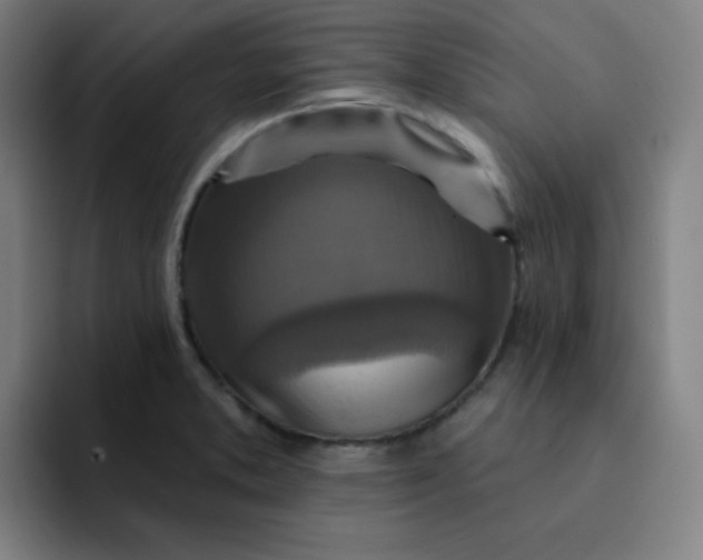 X0000091911373200709261708