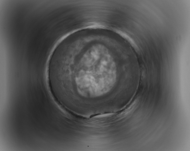 X0000091911375200709261708