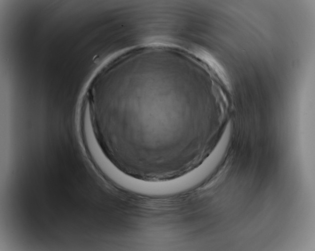 X0000091911376200709261708