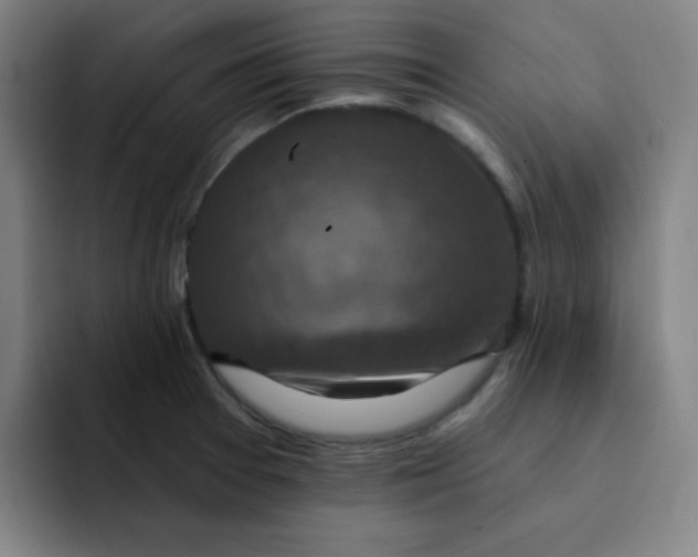 X0000091911377200709261708