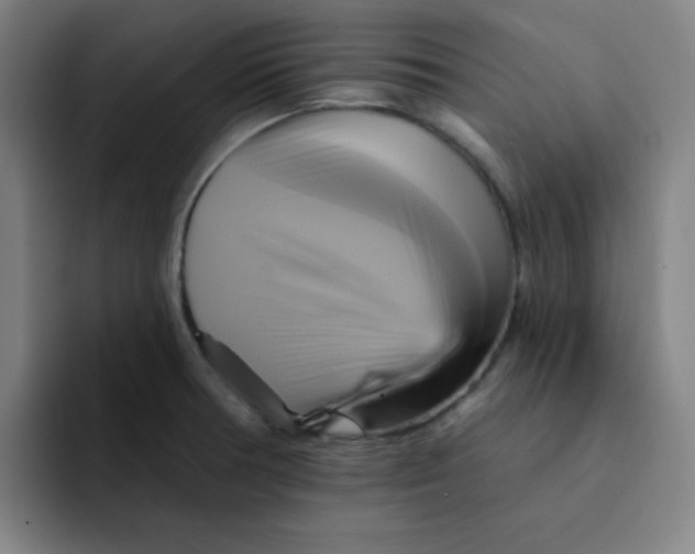 X0000091911378200709261708