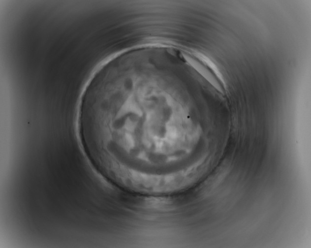 X0000091911379200709261708