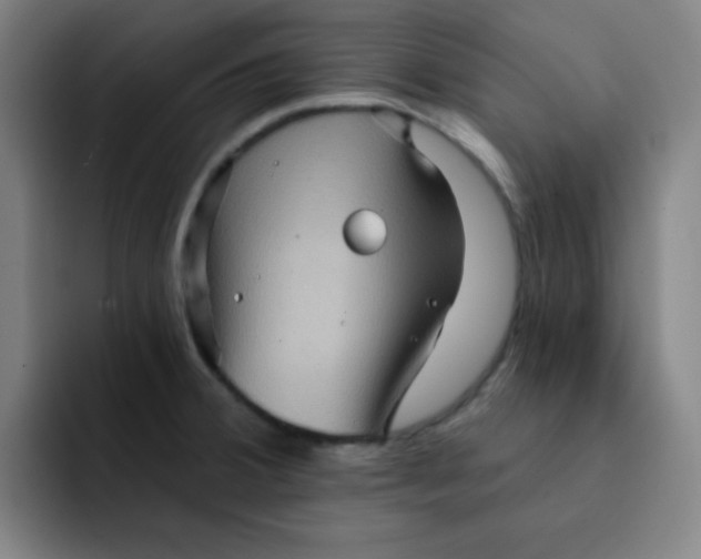 X0000091911380200709261708