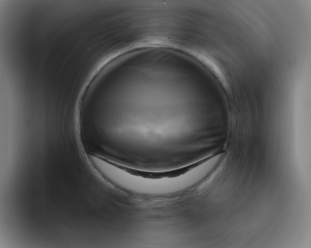 X0000091911382200709261708