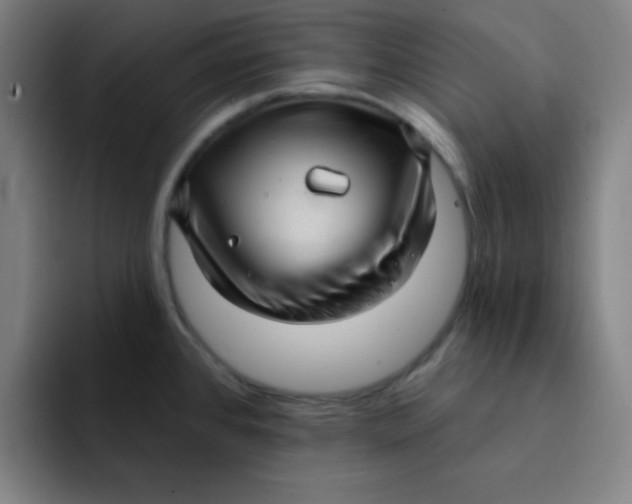 X0000091911384200709261708