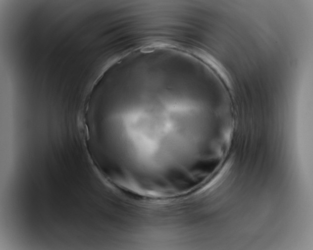 X0000091911385200709261708