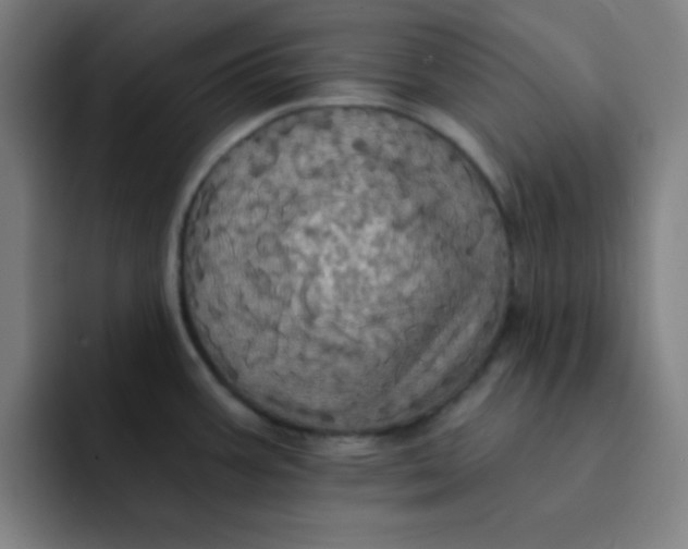 X0000091911387200709261708