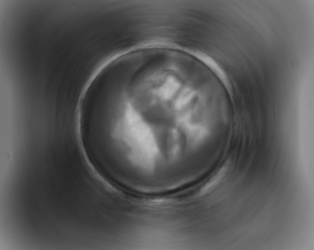 X0000091911390200709261708