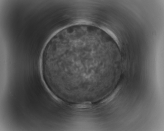 X0000091911391200709261708