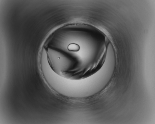 X0000091911392200709261708