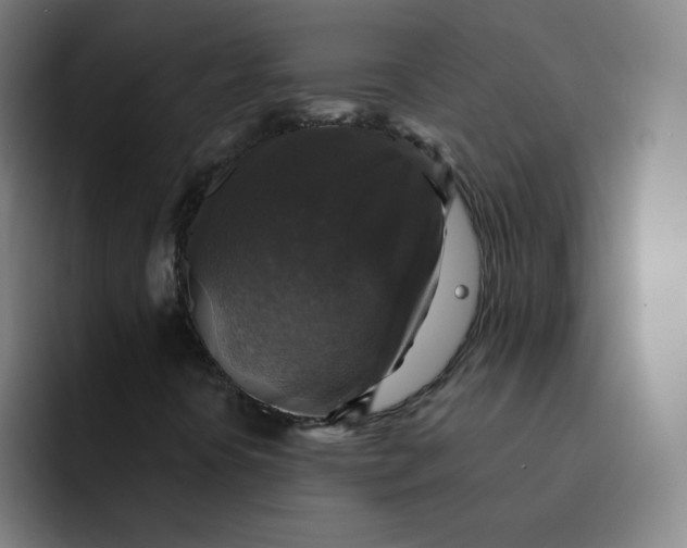 X0000091911394200709261707