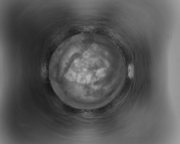 X0000091911395200709261707