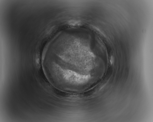 X0000091911396200709261707