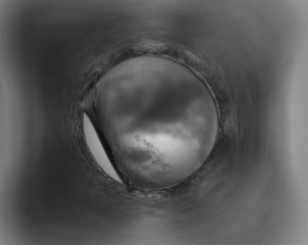 X0000091911397200709261707