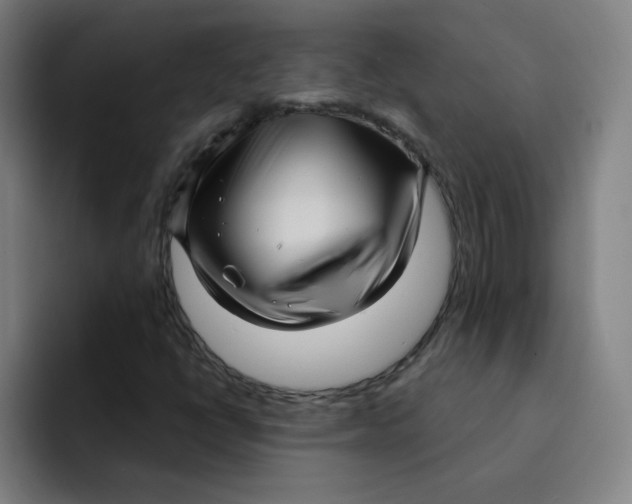 X0000091911398200709261707