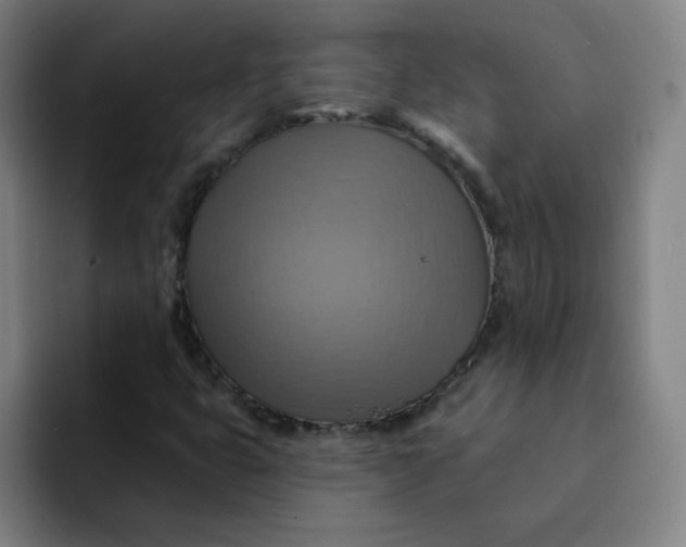 X0000091911399200709261707