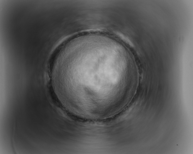 X0000091911400200709261707