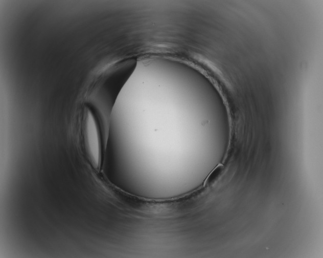 X0000091911402200709261707