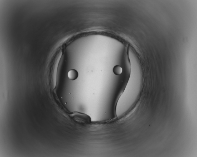 X0000091911406200709261707