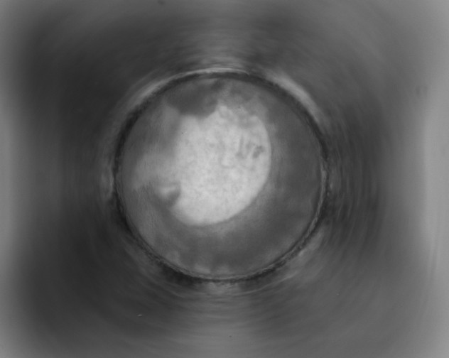 X0000091911407200709261707